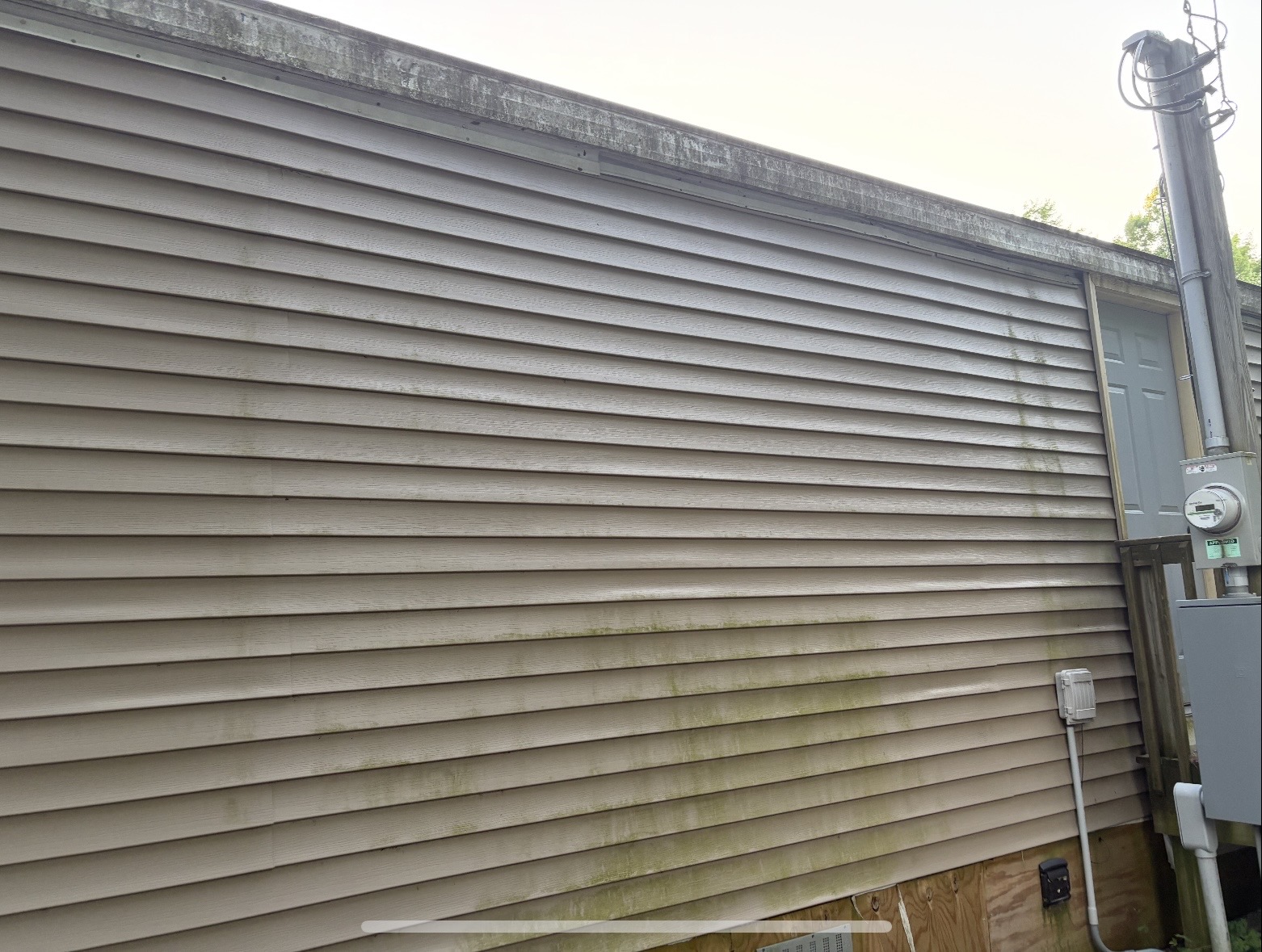 Michigan vinyl siding before soft washing with green algae buildup